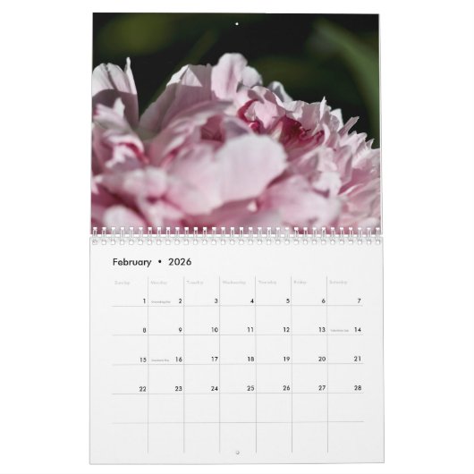 Kalenderpony's uit de tuin kalender (Feb 2026)