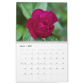 Kalenderpony's uit de tuin kalender (Mar 2027)
