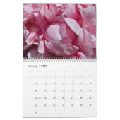 Kalenderpony's uit de tuin kalender (Jan 2027)