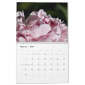 Kalenderpony's uit de tuin kalender (Feb 2027)