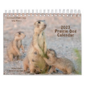 KALENDERR KALENDER (Hoes)