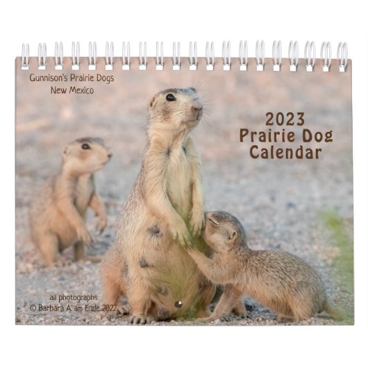 KALENDERR KALENDER (Hoes)
