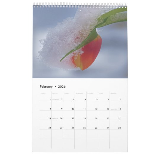 Kalenders 2025 gaan gewoon door kalender (Feb 2026)