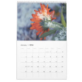 Kalenders 2025 gaan gewoon door kalender (Jan 2026)