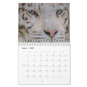 Kalendertijger Kalender (Mar 2027)