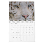 Kalendertijger Kalender (Mar 2026)