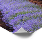 Kalendervelden Poster (Hoek)