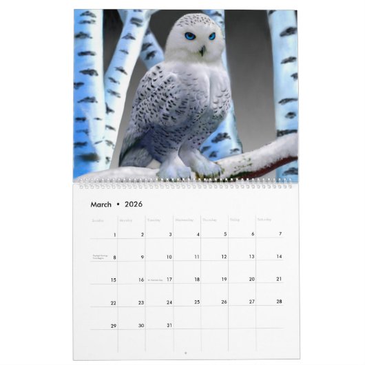 KALENDERVOGELS #1 KALENDER (Mar 2026)