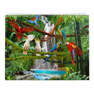 KALENDERVOGELS #1 KALENDER