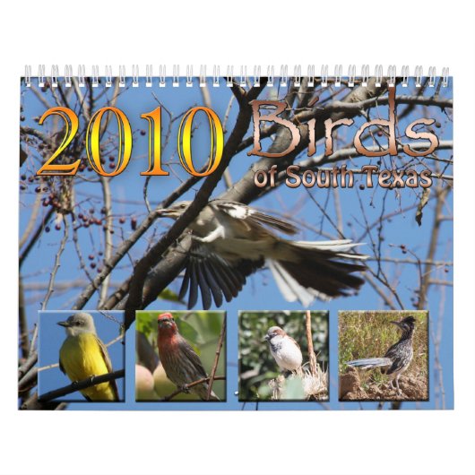 Kalendervogels in Zuid-Texas in 2010 Kalender (Hoes)