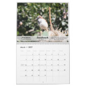 Kalendervogels in Zuid-Texas in 2010 Kalender (Mar 2027)