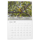 Kalendervogels in Zuid-Texas in 2010 Kalender (Jan 2027)