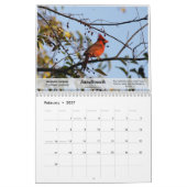 Kalendervogels in Zuid-Texas in 2010 Kalender (Feb 2027)
