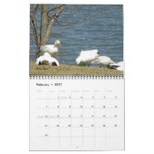 Kalendervogels Kalender (Feb 2027)