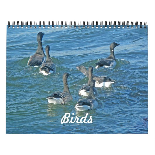 Kalendervogels Kalender (Hoes)