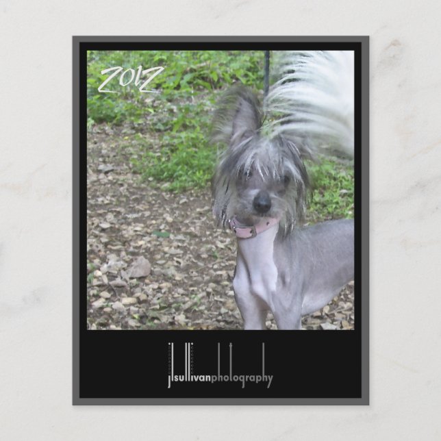 kalendervoordekking 2012 (Voorkant)