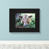 Kalf 1 uitgerekte canvas Print (Insitu (Houten vloer))