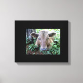 Kalf 1 uitgerekte canvas Print (Voorkant)