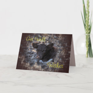 Kalf 5896 van Pinzgauer van Quincy - maak om het Kaart