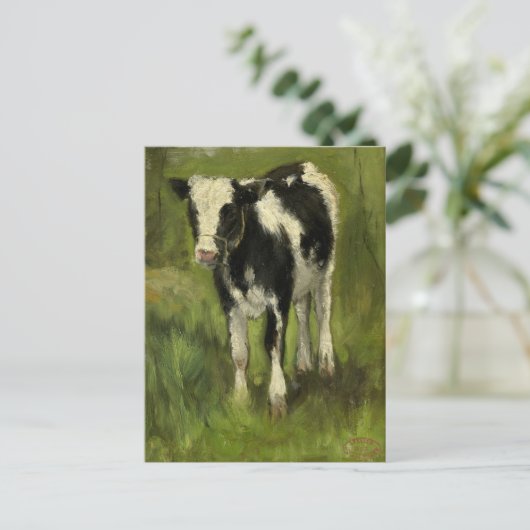 Kalf, gevlekt zwart en wit | Geo Poggenbeek Briefkaart (Staand voorkant)