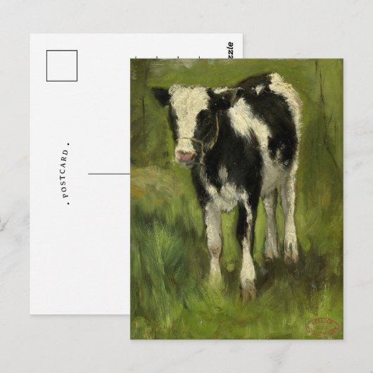 Kalf, gevlekt zwart en wit | Geo Poggenbeek Briefkaart (Voorkant / Achterkant)
