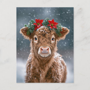 Kalf in de sneeuw met kerstkrans van Poinsettia Briefkaart