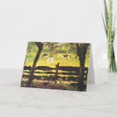 Kalfjes in een veld omzoomd door wilgenbomen, kaart (Voorkant)