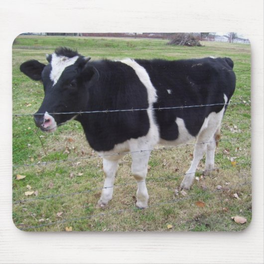 kalfspraat muismat (Voorkant)