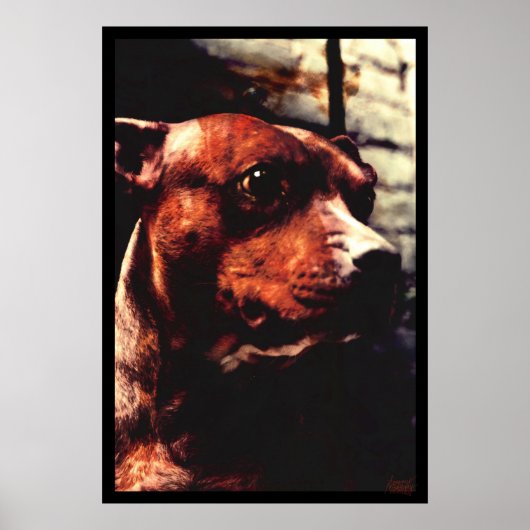 Kali Tree Poster (Voorkant)