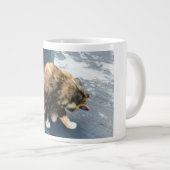 kalicakat die achterpoten likt grote koffiekop (Voorkant rechts)