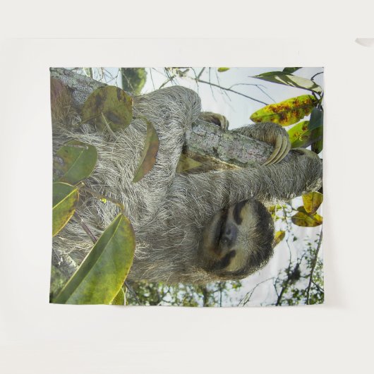 Kaliegroottegrond Wandkleed (Voorkant (horizontaal))