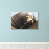 Kalifornische zeeleeuw rustend canvas afdruk (Insitu (Houten vloer))
