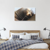 Kalifornische zeeleeuw rustend canvas afdruk (Insitu (Slaapkamer))