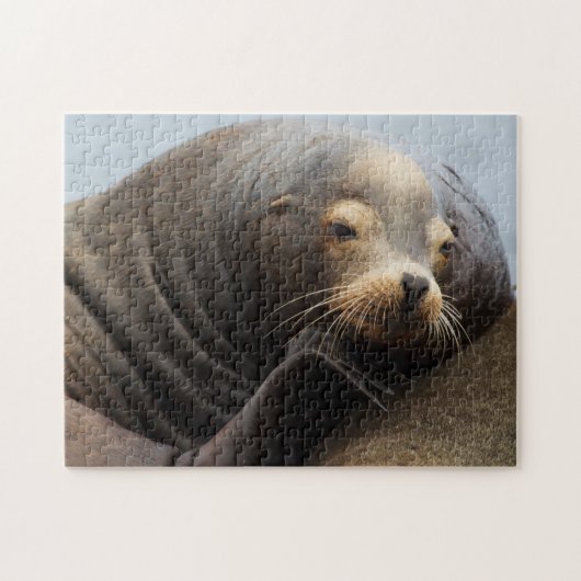 Kalifornische zeeleeuw rustend legpuzzel (Horizontaal)