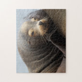 Kalifornische zeeleeuw rustend legpuzzel (Verticaal)