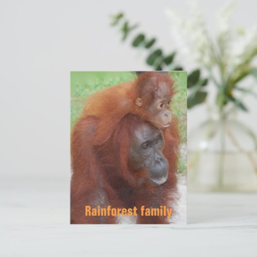 Kalimantan Indonesia Rainforest Family Briefkaart (Staand voorkant)