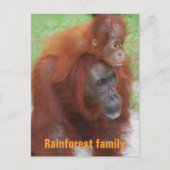 Kalimantan Indonesia Rainforest Family Briefkaart (Voorkant)