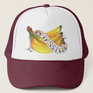 kaliumtrucker trucker pet