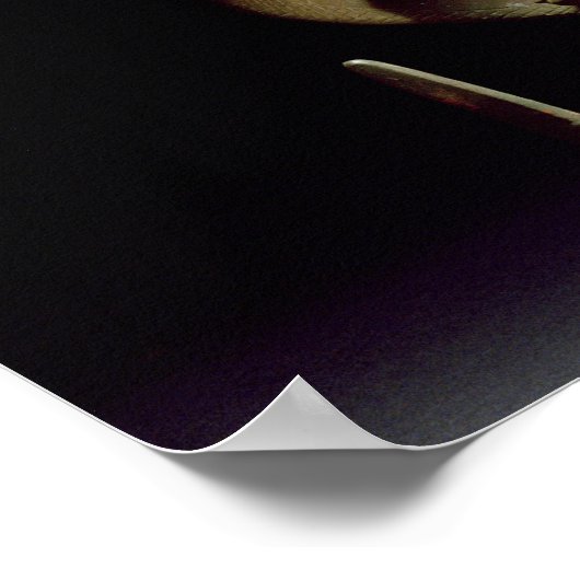 Kaliyakrishna, Chola, Tamil Nadu (brons) Poster (Hoek)