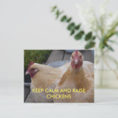 Kalk- en mestkippen Briefkaart houden (Staand voorkant)
