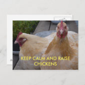 Kalk- en mestkippen Briefkaart houden (Voorkant / Achterkant)