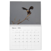 Kalkaaldadelarsen 2014 voor wilde wanden kalender (Feb 2026)