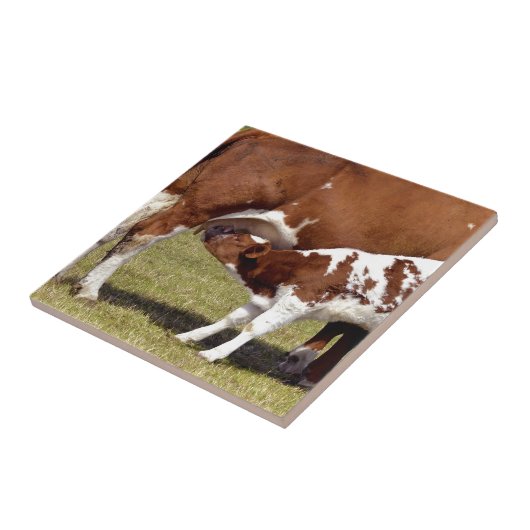 Kalkappelen Tegeltje (Zijkant)