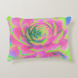 Kalkgroen en roze Succulent Sedum Rosette Accent Kussen