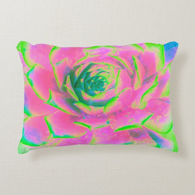 Kalkgroen en roze Succulent Sedum Rosette Accent Kussen (Voorkant)