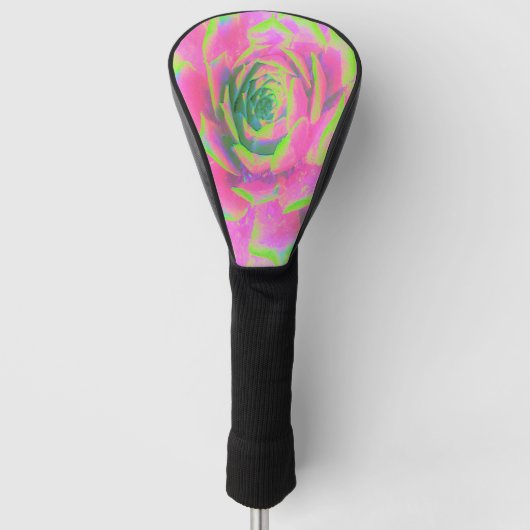 Kalkgroen en roze Succulent Sedum Rosette Golfheadcover (Voorkant)