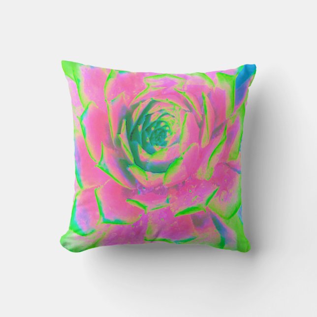 Kalkgroen en roze Succulent Sedum Rosette Kussen (Voorkant)