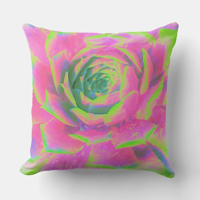 Kalkgroen en roze Succulent Sedum Rosette Kussen (Voorkant)
