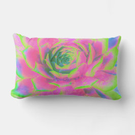 Kalkgroen en roze Succulent Sedum Rosette Kussen