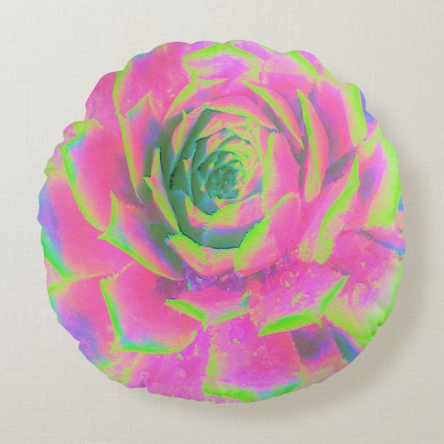Kalkgroen en roze Succulent Sedum Rosette Rond Kussen (Voorkant)
